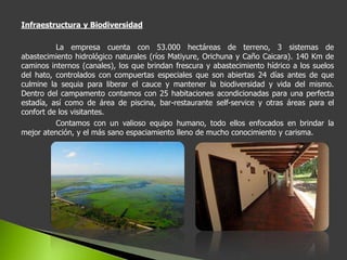 Infraestructura y Biodiversidad

          La empresa cuenta con 53.000 hectáreas de terreno, 3 sistemas de
abastecimiento hidrológico naturales (ríos Matiyure, Orichuna y Caño Caicara). 140 Km de
caminos internos (canales), los que brindan frescura y abastecimiento hídrico a los suelos
del hato, controlados con compuertas especiales que son abiertas 24 días antes de que
culmine la sequia para liberar el cauce y mantener la biodiversidad y vida del mismo.
Dentro del campamento contamos con 25 habitaciones acondicionadas para una perfecta
estadía, así como de área de piscina, bar-restaurante self-service y otras áreas para el
confort de los visitantes.
          Contamos con un valioso equipo humano, todo ellos enfocados en brindar la
mejor atención, y el más sano espaciamiento lleno de mucho conocimiento y carisma.
 