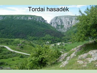 Tordai hasadék
 