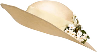 Hats collections - PNG