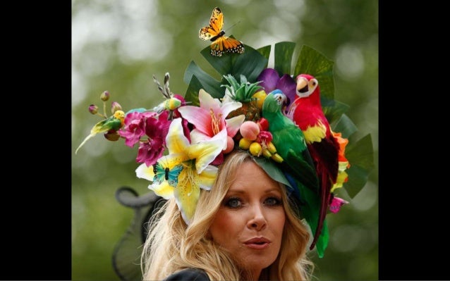 crazy ascot hats
