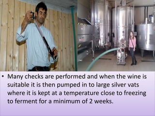• Many checks are performed and when the wine is
suitable it is then pumped in to large silver vats
where it is kept at a temperature close to freezing
to ferment for a minimum of 2 weeks.
 