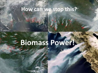 How can we stop this?




Biomass Power!
 