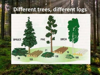 Different trees, different logs
 