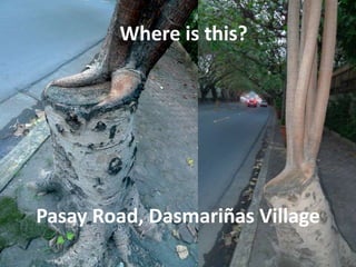 Where is this?




Pasay Road, Dasmariñas Village
 