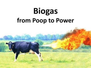 Biogas
from Poop to Power
 