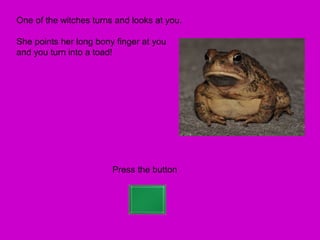 One of the witches turns and looks at you.

She points her long bony finger at you
and you turn into a toad!




                        Press the button
 