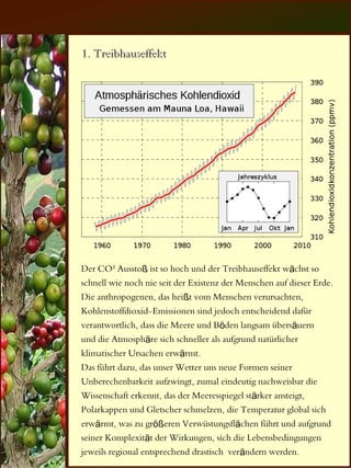 1. Treibhauseffekt




Der CO² Ausstoß ist so hoch und der Treibhauseffekt wächst so
schnell wie noch nie seit der Existenz der Menschen auf dieser Erde.
Die anthropogenen, das heißt vom Menschen verursachten,
Kohlenstoffdioxid-Emissionen sind jedoch entscheidend dafür
verantwortlich, dass die Meere und Böden langsam übersäuern
und die Atmosphäre sich schneller als aufgrund natürlicher
klimatischer Ursachen erwärmt.
Das führt dazu, das unser Wetter uns neue Formen seiner
Unberechenbarkeit aufzwingt, zumal eindeutig nachweisbar die
Wissenschaft erkennt, das der Meeresspiegel stärker ansteigt,
Polarkappen und Gletscher schmelzen, die Temperatur global sich
erwärmt, was zu größeren Verwüstungsflächen führt und aufgrund
seiner Komplexität der Wirkungen, sich die Lebensbedingungen
jeweils regional entsprechend drastisch verändern werden.
 
