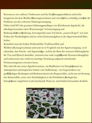 Ressourcen wie sauberes Trinkwasser und die Ernährungsproduktion sind nicht
kongruent mit dem Weltbevölkerungswachstum und verschärfen so künftig verstärkt die
Probleme um die weltweite Nahrungversorgung.
Dabei wird 50% der gesamten Nahrunggrundlagen von Kleinbauern abgedeckt, die
allerdings besonders unter Wassermangel, Verunreinigung und
Bodenqualitätsveränderung hervorgerufen zum Teil durch „saueren Regen“ was zum
Fehlen der Nachhaltigkeit und zu vielen Existenzaufgaben in der Agrarwirtschaft führt,
leiden.
Kumuliert man die beiden Problemfelder Treibhauseffekt und
Weltbevolkerungswachstum und setzt sie in Vergleich mit der Agrarversorgung, so ist
erkennbar, dass Frucht- und Agrarerträge, welche die Basis der weiteren Nahrungskette
für Tier und Mensch darstellen, einerseits eine stark vergrößernde Resourcenknappheit
und andererseits eine weltweit einseitige Verteilung aufgrund entstehender
Preisteuerungsraten erwarten lassen.
Wie sinnvoll eine neues Agrarbewusstsein, ein Bepflanzen von Ertragbäumen im
subtropischen und tropischen Gürtel, eine Aufforstung – ein Gegenwirken von
großflächigen Rodungen und Bodenerosionen des Regenwaldes, nicht nur zur Rettung
der Artenvielfalt, sowie eine Nachhaltigkeit in der Produktion ökologischer
Ertragbäume eingebettet in die bestehende Natur ist, wird dadurch besonders deutlich.
 