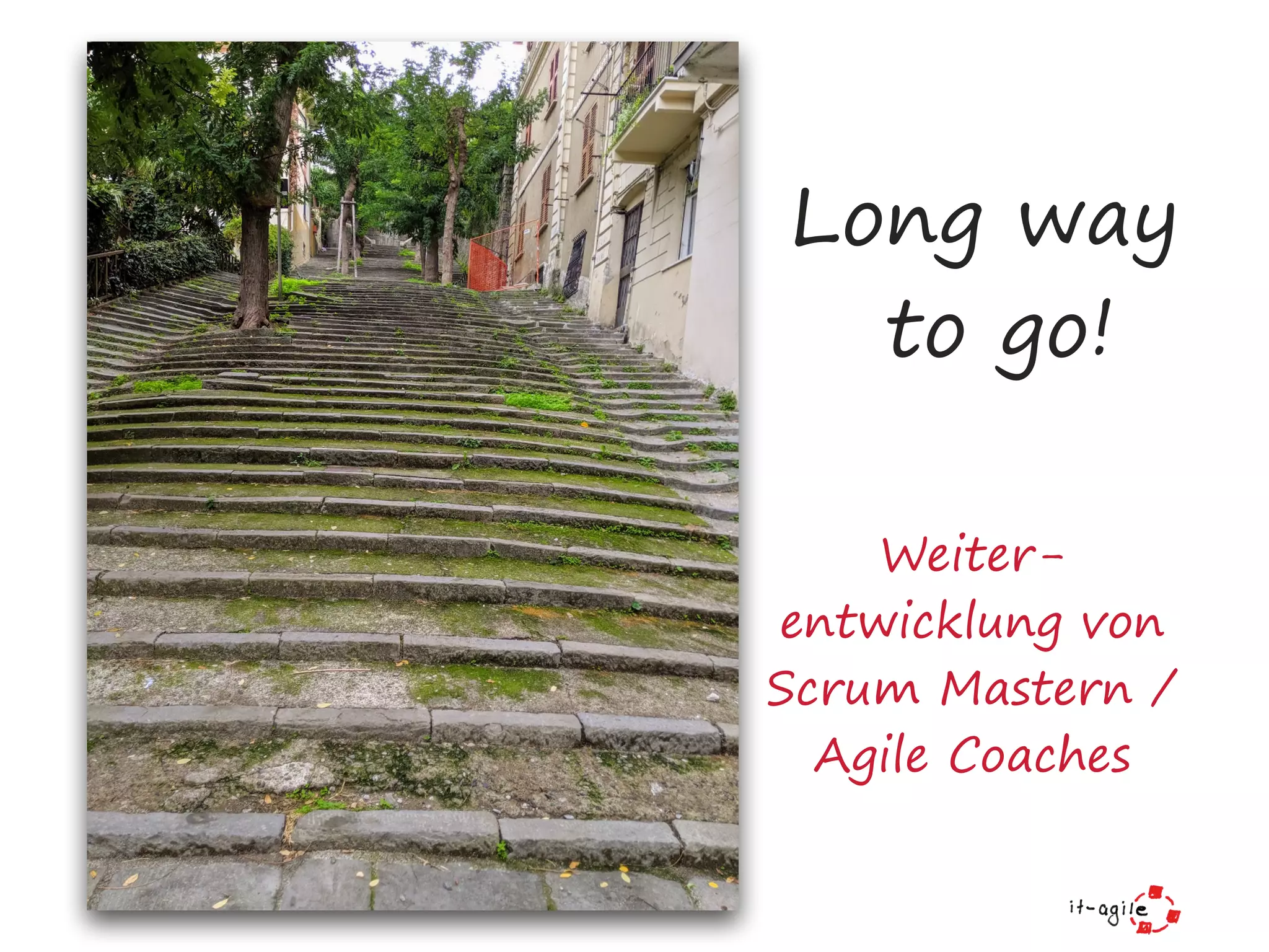 Long way
to go!
Weiter-
entwicklung von
Scrum Mastern /
Agile Coaches
 