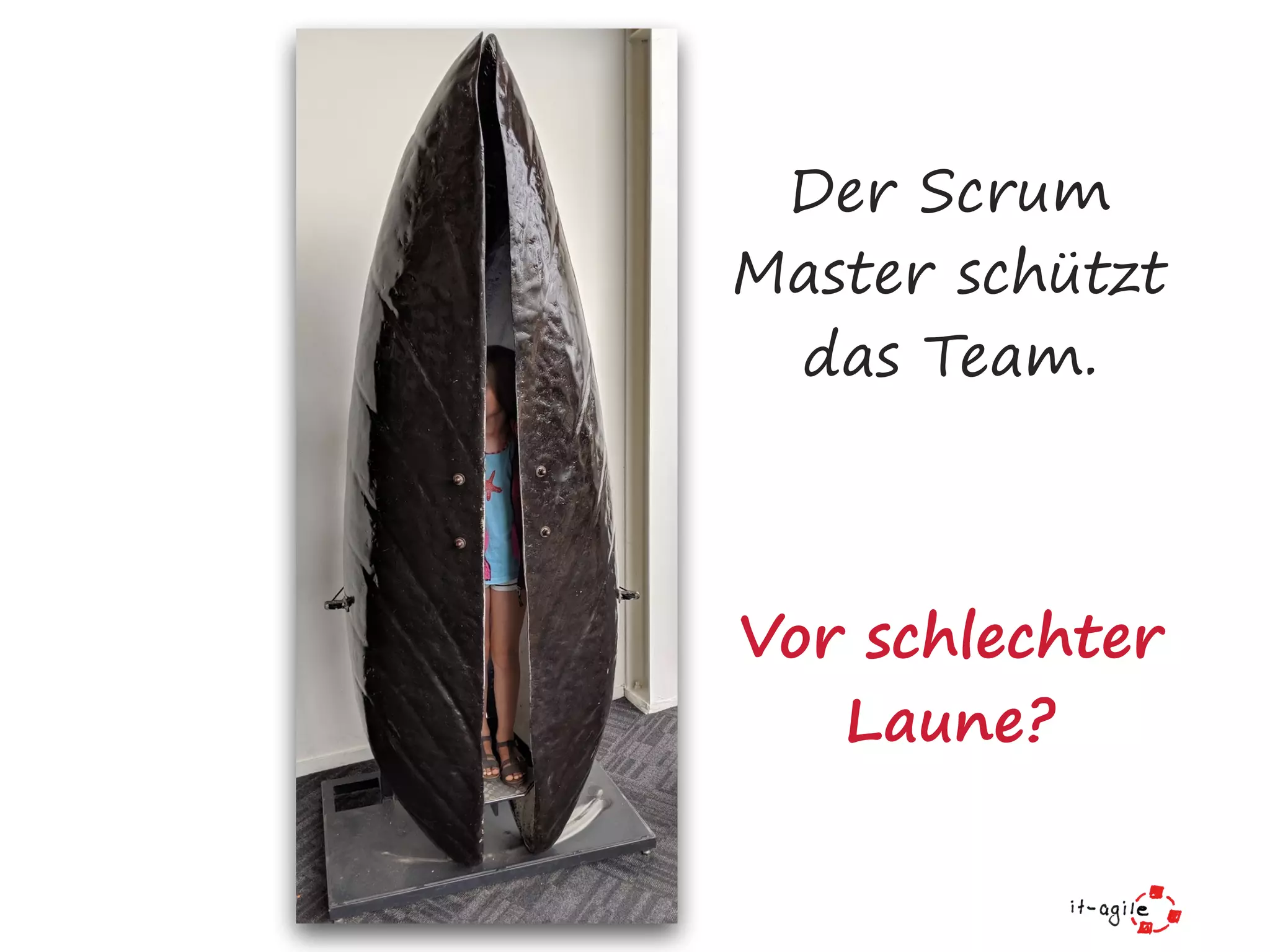 Der Scrum
Master schützt
das Team.
Vor schlechter
Laune?
 
