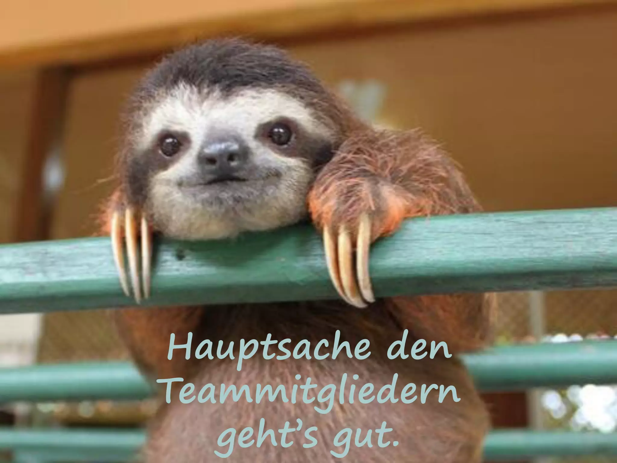 Hauptsache den
Teammitgliedern
geht’s gut.
 