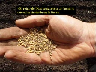 «El reino de Dios se parece a un hombre
que echa simiente en la tierra.
 