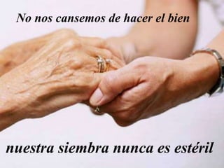 No nos cansemos de hacer el bien
nuestra siembra nunca es estéril
 