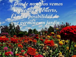 Donde nosotros vemos
sequedad y desierto,
Él ve la posibilidad de
que germine un jardín
 