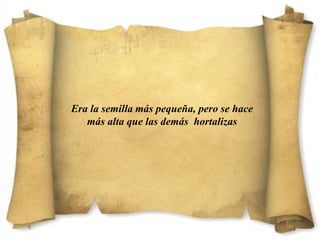 Era la semilla más pequeña, pero se hace
más alta que las demás hortalizas
 