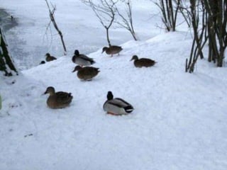 Haus Gasteinertal-Freizeit