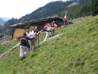 Haus Gasteinertal-Freizeit