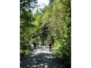 Haus Gasteinertal-Freizeit