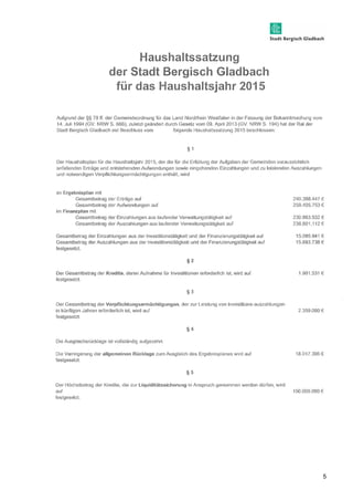 5 
Haushaltssatzung 
 