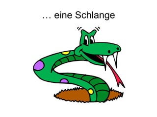 … eine Schlange
 