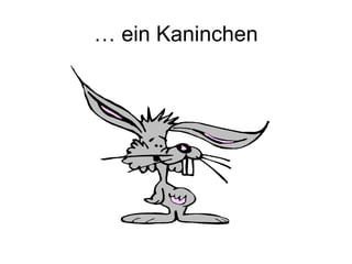 … ein Kaninchen
 