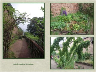 Le jardin médiéval du château.
 