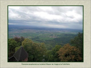 Panorama exceptionnel sur la plaine d’Alsace, les Vosges et la Forêt-Noire.
 