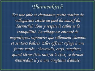 Est une jolie et charmante petite station de villégiature située au pied du massif du Taennchel. Tout y respire le calme et la tranquillité. Le village est entouré de magnifiques sapinières que sillonnent chemins et sentiers balisés. Elles offrent refuge à une faune variée : chevreuils, cerfs, sangliers, grand tétras (très rare) et le lynx, ce dernier réintroduit il y a une vingtaine d'année. Thannenkirch   