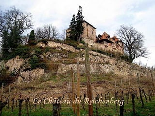 Le Château du Reichenberg 