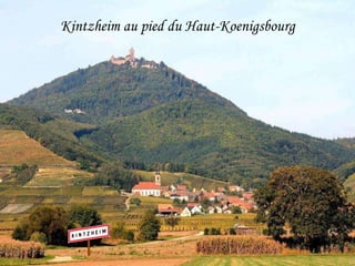 Kintzheim au pied du Haut-Koenigsbourg 