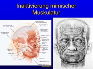 swissestetixMarkt für ästhetische MedizinBotox und Filler sind…die am stärksten wachsenden Behandlungen 