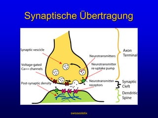 Abgesondert vom 	Bakterium Clostridium BotulinumMedikament mit vielseitigem Therapiespektrum und erwiesenem Wirkungs-/Sicherheitsprofil