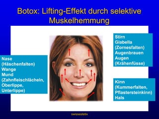 swissestetixSynaptische Übertragung