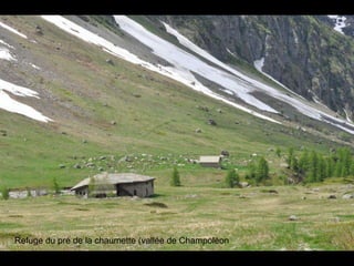 Refuge du pré de la chaumette (vallée de Champoléon 