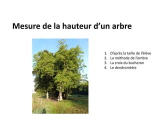 Mesure de la hauteur d’un arbre

                       1.   D’après la taille de l’élève
                       2.   La méthode de l’ombre
                       3.   La croix du bucheron
                       4.   Le dendromètre
 