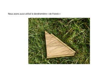 Nous avons aussi utilisé le dendromètre « de Franck »
 