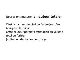 Nous allons mesurer la hauteur totale:

C’est la hauteur du pied de l’arbre jusqu’au
bourgeon terminal.
Cette hauteur permet l’estimation du volume
total de l’arbre
(utilisation des tables de cubage)
 