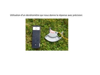 Utilisation d’un dendromètre qui nous donne la réponse avec précision:
 