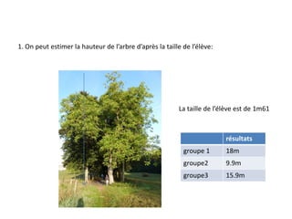 1. On peut estimer la hauteur de l’arbre d’après la taille de l’élève:




                                                         La taille de l’élève est de 1m61



                                                                         résultats
                                                           groupe 1      18m
                                                           groupe2       9.9m
                                                           groupe3       15.9m
 