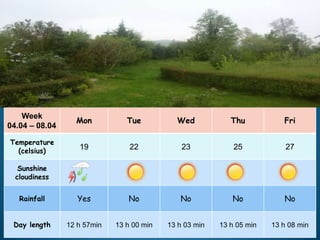 Week
04.04 – 08.04
Mon Tue Wed Thu Fri
Temperature
(celsius)
19 22 23 25 27
Sunshine
cloudiness
Rainfall Yes No No No No
Day length 12 h 57min 13 h 00 min 13 h 03 min 13 h 05 min 13 h 08 min
 