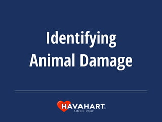 Identifying
Animal Damage
 