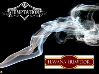 Havana Humidor