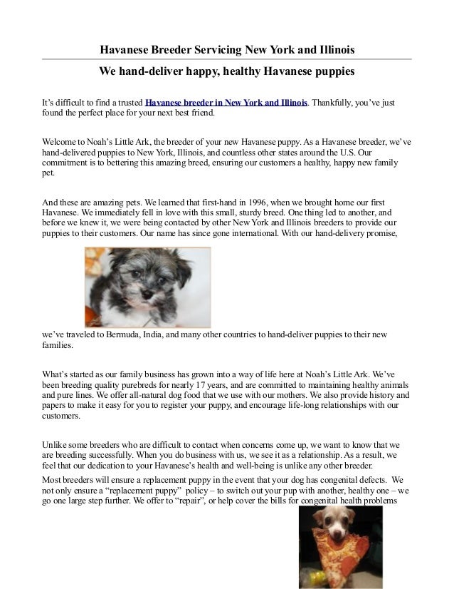 best havanese breeders