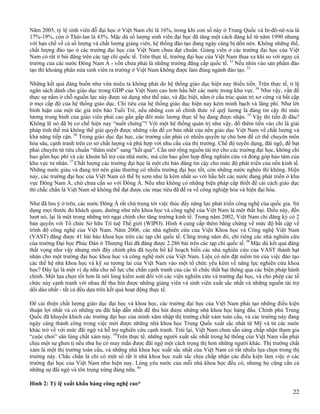 Havard S Report On Vn 2[1].2008