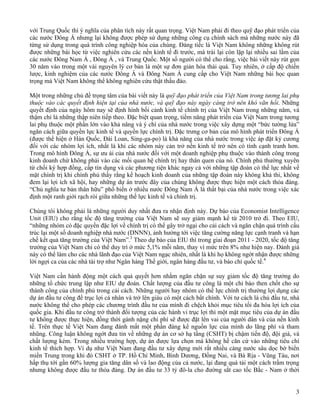 Havard S Report On Vn 2[1].2008