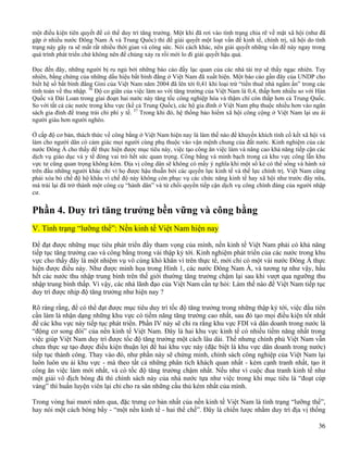 Havard S Report On Vn 2[1].2008