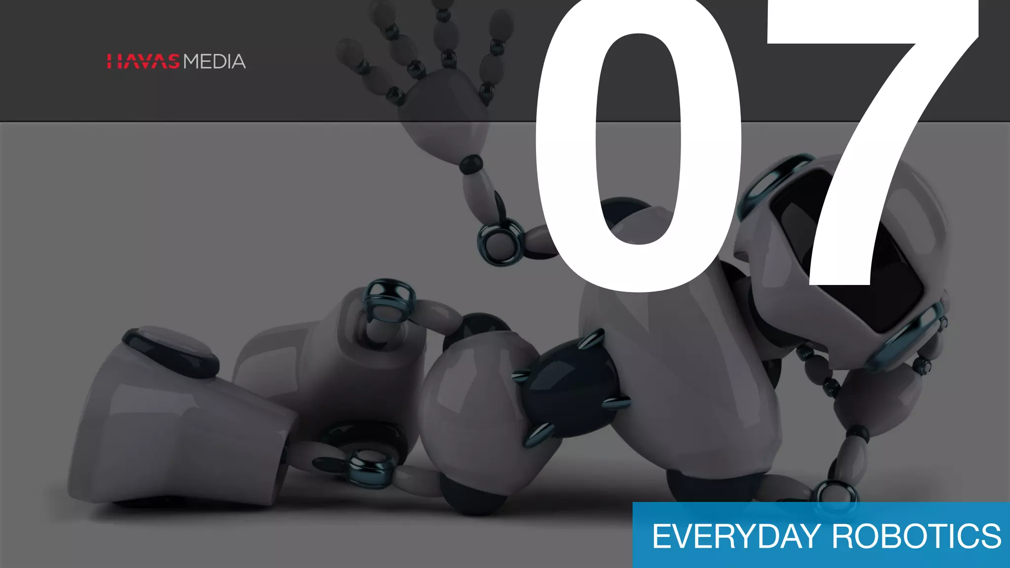 07
EVERYDAY ROBOTICS
 