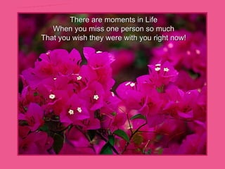 There are moments in Life When you miss one person so much That you wish they were with you right now! www.freewebs.com/beauty-health 