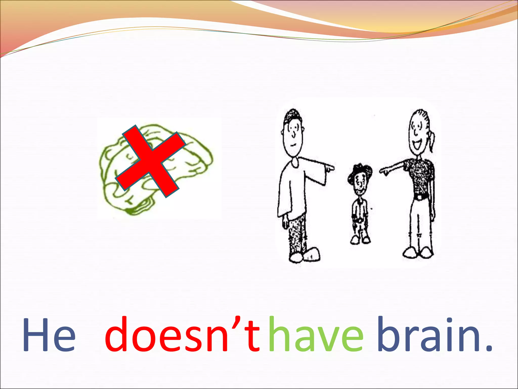 Have has exercises PPT