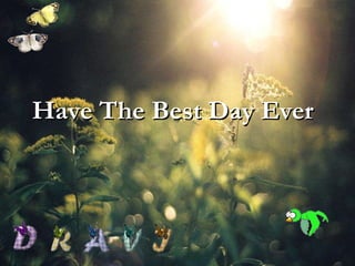 Have The Best Day Ever 